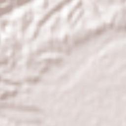 Ōme-shi Terrain Map