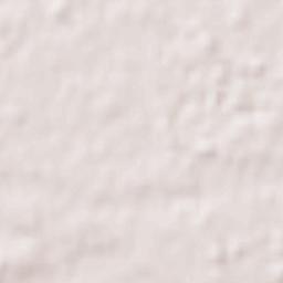 Tokorozawa Terrain Map