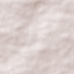 Bir el Djir Terrain Map