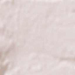 Komagane Terrain Map