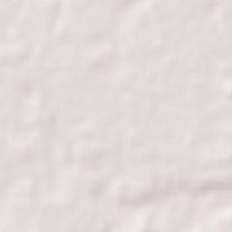 Nakano-ku Terrain Map