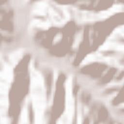 Tagāw-Bāy Terrain Map