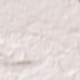 Akishima-shi Terrain Map