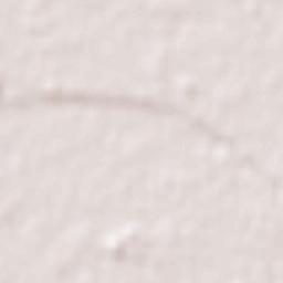 Koganei-shi Terrain Map