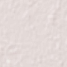 Kamirenjaku Terrain Map