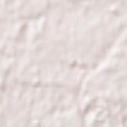 Shinjuku-ku Terrain Map