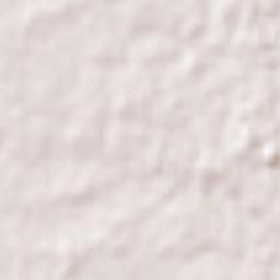 Shibuya-ku Terrain Map