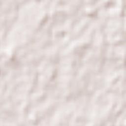 Minato-ku Terrain Map