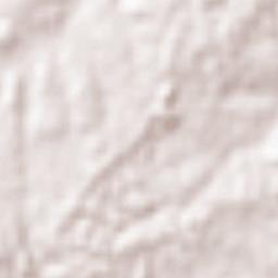 Tama-shi Terrain Map