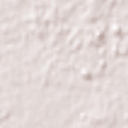 Shinagawa-ku Terrain Map