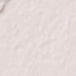 Tōgane-shi Terrain Map