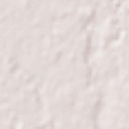 Minamirinkan Terrain Map