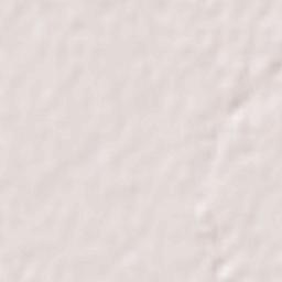 Mizuho-shi Terrain Map