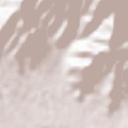 Hadano-shi Terrain Map