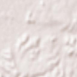 Kisarazu Terrain Map