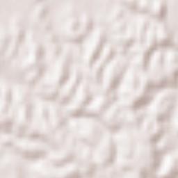 Kisarazu Shi Terrain Map