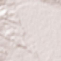 Minamiashigara Terrain Map