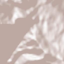 Sarvabad Terrain Map