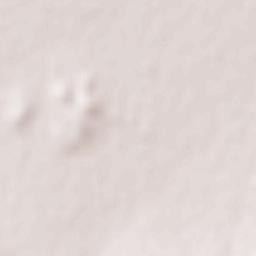 Ksar Chellala Terrain Map