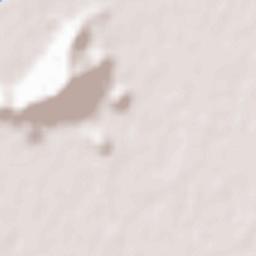 Hikone-shi Terrain Map