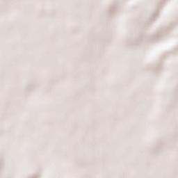 Fujinomiya Terrain Map