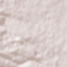 Susono Shi Terrain Map