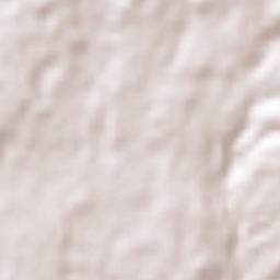 Fuji Shi Terrain Map