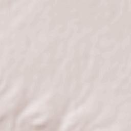 Shadmehr Terrain Map