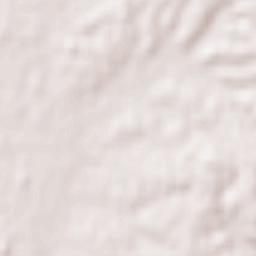 Motoyama Terrain Map