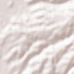 Mishima Shi Terrain Map