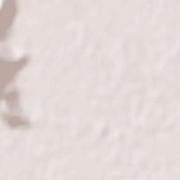 Youkaichi Terrain Map