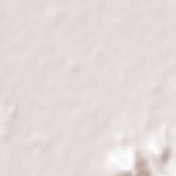 Yasu-shi Terrain Map