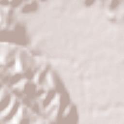 Arashiyama Terrain Map