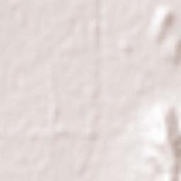 Kamigyō-ku Terrain Map