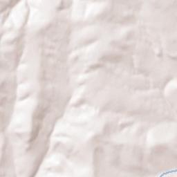 Ponderosa Pine Terrain Map