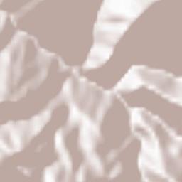 Bayangan Terrain Map