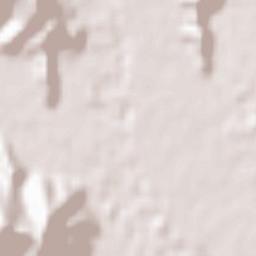 Shizuoka Terrain Map