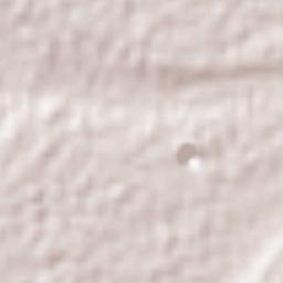 Gomush Bolagh Terrain Map