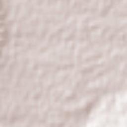 Rastguyan Terrain Map