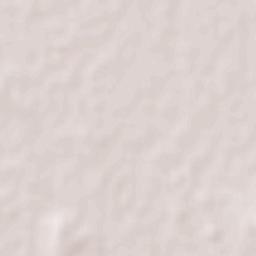 Roshtkhvar Terrain Map