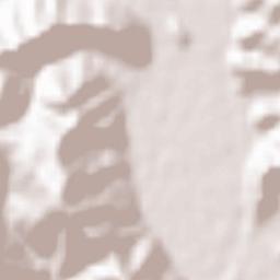 Tatsuno-shi Terrain Map