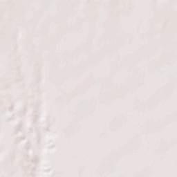 Wellington Terrain Map