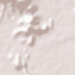 Takasago Shi Terrain Map