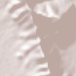 Ravansar Terrain Map