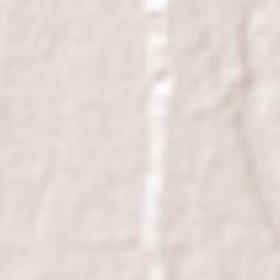 Iwata-shi Terrain Map