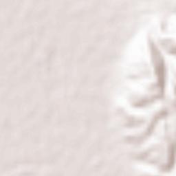 Daitōchō Terrain Map