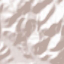 Aki-takata Shi Terrain Map