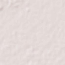 Hamamatsu Terrain Map