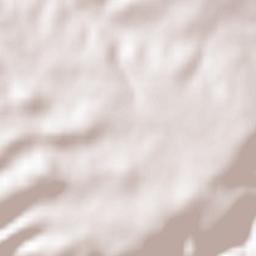 Tallkalakh Terrain Map