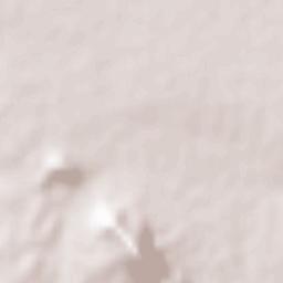 Mezzouna Terrain Map